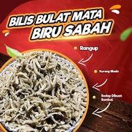 Bilis Bulat Mata Biru Sabah AAA