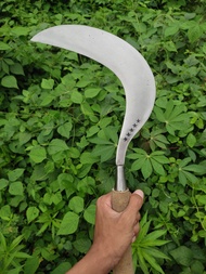 PANDE MADURA | Arit sabit rumput rambanan full baja super tajam