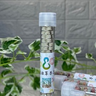 洗手皂 草本香皂花-試管皂 薄荷粉/精油 紙香皂 外出 旅遊 洗手