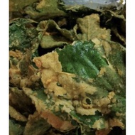 Organic Mulberry Leaf Crackers rangup And Savory