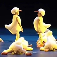 Xiaohecai This Is My Costume Little Goose Duckling Costume Animal Cartoon Costume