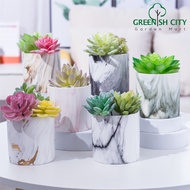GNC - Colorful Marble Series Ceramic Flower Plant Pot Pasu Bunga Seramik 大理石陶瓷花盆