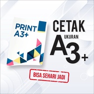 Art Paper Printing A3+ Poster/