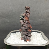 Silver Pillar Leklai 银色柱子力泥 Leklai Goethite 100% Natural Leklai