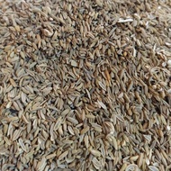 Fennel wholeMANIS, fennel seedMANIS, fennel seed