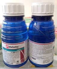 INSEKTISIDA MATADOR SYNGENTA 250 ML OBAT ULAT