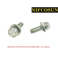 10PCS HEX BOLT WITH DOUBLE WASHER (M6 x 1.0 x 20mm)