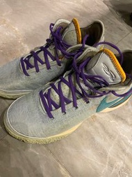 Nike Lebron nxxt gen