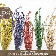 RS 5 gr Sendra / Bunga Jagung Kering / Kembang Jagung