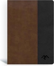 3689.CSB Men of Character Bible, Brown/Black Leathertouch