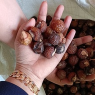 Biji Lerak Kupas Tanpa Biji 1 kg Buah Unggul Organik Tanpa Kimia Pure