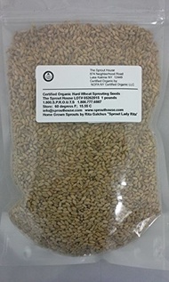 The Sprout House Organic Hard Wheat for Wheat Grass Bread Grinding Cat Grass Wheat for Storage..