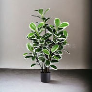 Artificial Plant Variegated Fiddle Fig Plant, faux plant, fake plant, home decor, events, garden Apl
