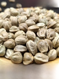 QINLIANGSHAN | Gansu Special Product Tianwater Large Grain Hemp Seeds New Stock Human Consumption Ed