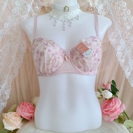 Japan Bra Size : D75 Japanese NWT