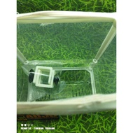 breeding Box guppy bb-12