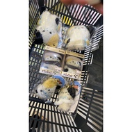 zb1 Shenquanrui rinini boysplanet ZEROBASEON doll backpack, letter bag, 2HCB