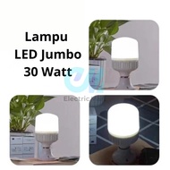 Jumbo 30 Watt LED Lamp
