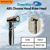 Chrome ABS Sprayer Handheld Toilet Bidet Hand Spray Bidet Nozzle OW1013-CC ABS Chrome Hand Bidet Hea