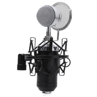 Professional Condenser Duet Microphone BM8000 full set