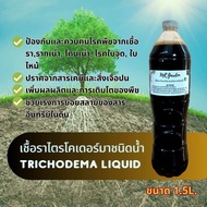 Liquid Trichoderma Bio Fungicide เชื้อราไตรโคเดอร์มาชนิดน้ำ พร้อมใช้ ป้องกันเชื้อรา รากเน่า เพิ่มผลผ