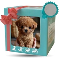 Anjing Mewah Interaktif Versi Kemas Kini Robot Tongkat, Anak Anjing Robot Realistik Saya, Berkelakua