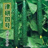 Jinyan No. 4 Cucumber Seeds Cucumber Seeds Green Heart Green Meat Spring Four Seasons Balcony No. 4 