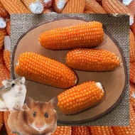 Whole Chew Corn Hamster Corn Bites