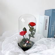 美女與野獸玻璃罩盅 玫瑰花