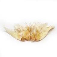 金錢骨翅仔 (300克裝)  #補充鈣質 #骨膠原 #膠原蛋白 #強壯骨絡 #煲湯 #海味乾貨 #健康食品 #南北貨