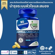 The Veggie Doctor Omega 3 Better Than Fish Oil Supplements Vegan Omega 3 Omega 3 Fatty Acids Vegan D