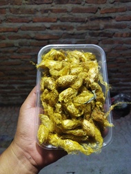 kepompong alpukat ( isi 30 + bonus)