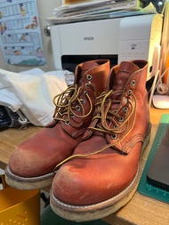Redwing