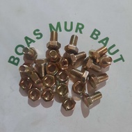 Bm 6x10 Bolt Nut 6x10 Bolt Yellow m6 Boasmurbaut