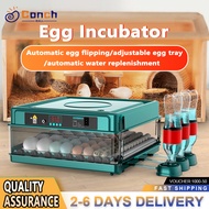 Automatic egg incubator temperature control incubator Single-layer egg tray incubator detachable greenhouse culture machine automatic water refill Egg/duck egg/goose egg incubator