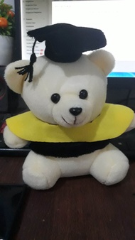 boneka bear wisuda 15 cm