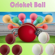 Cricket Ball /Cricket Sports Balls Portable Soft Training Cricket Ball Hand Stitched Practice Portab