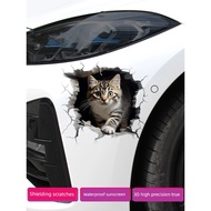 kancil accessories adv 160 accessories 3D Cat Scratch Blocking Waterproof Car Sticker