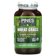Pines WheatGrass Tablets 美国小麦草 (500 Tablets) Rumput Gandum