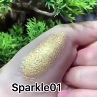OEM Highlighter/Illuminator Bronzer Makeup