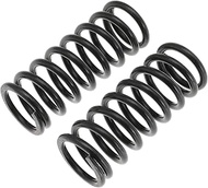 Transmission 3-4 Accumulator Spring for 42RE 42RH 44RE 46RE 46RH 47RE 47RH 48RE A500 A518 A618 Dodge