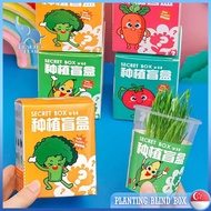 💕SG Stock💕Children's DIY Plant Set Blind Box Creative Flowers Plant Potted Party Gift Blind Box