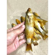❀ █ ▢ ♞,♘,♙Tinapang Kapak/ Tinapang Bataan / fresh vacuum sealed/ quality masarap malinamnam