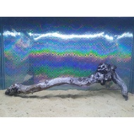 KAYU Grade A Sea Coral Santigi Wood / Aquarium Sea Sentigi