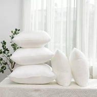 Pillow 500g 18x18inch Square Pillow