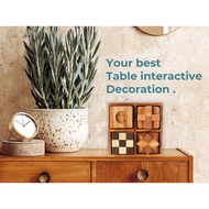 BSIRI Wooden Puzzle Box Set (4 Games) - Challenging Brain Teasers 3D Puzzles for Adults, Interlockin