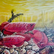 Lukisan Ikan Arwana Super Red + Frame