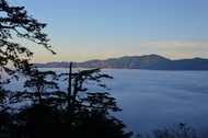 暑假折2千｜宜蘭旅遊｜雙森林~棲蘭明池森林森呼吸、馬告神木園、武陵農場百花齊放、無自理餐、輕奢華凱渡四日遊｜高雄台南出發