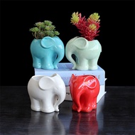 Ceramic Flower Pot Creative Cute Cartoon Elephant Succulents Pot Planter Fashion Office Table Bonsai