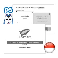 Primary 5 Chinese Flashcards - Great for Revision | Includes 造句 | In Chinese and English | 215 Cards